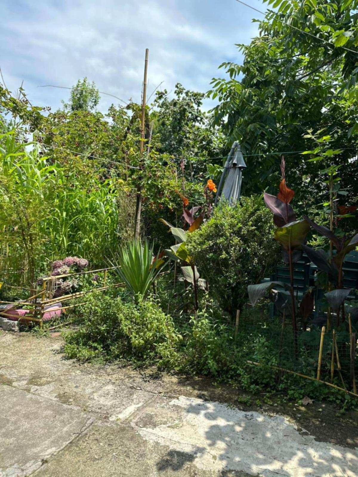 Guest House Barbi 巴统 外观 照片